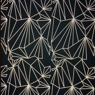 花式反光印花布13号图